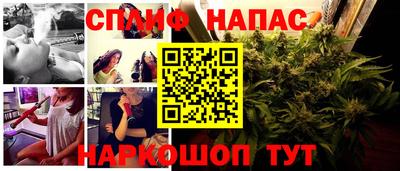 дмт Пенза