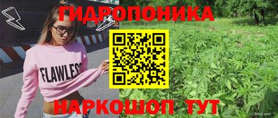 дмт Пенза