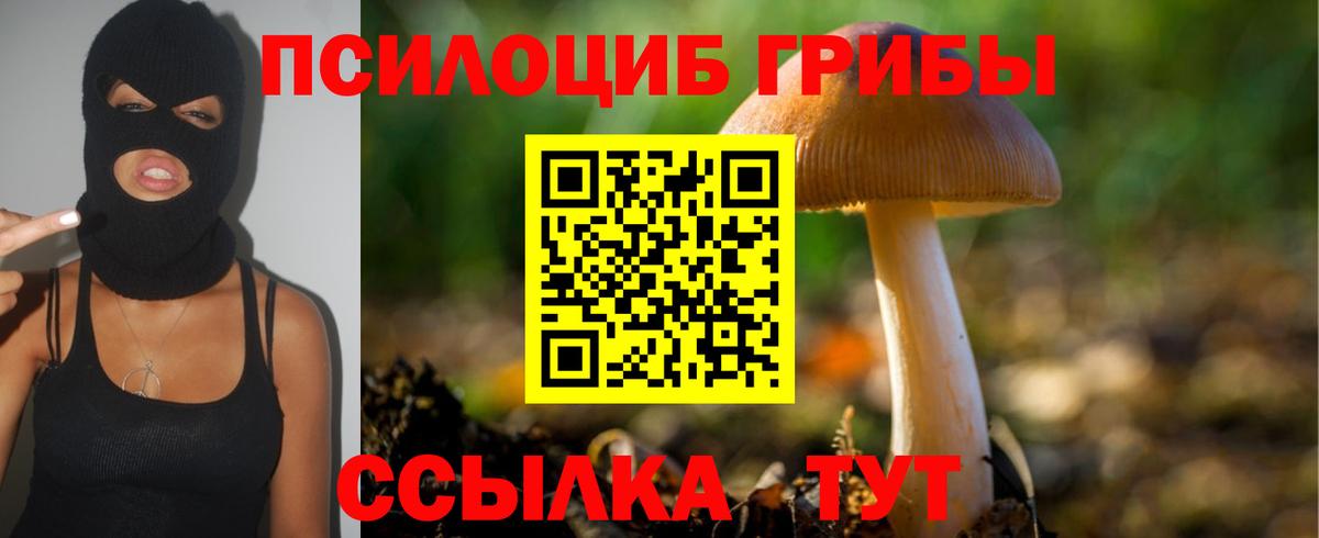 Сибай  Галлюциногенные грибы Psilocybe  Вход с VPN 